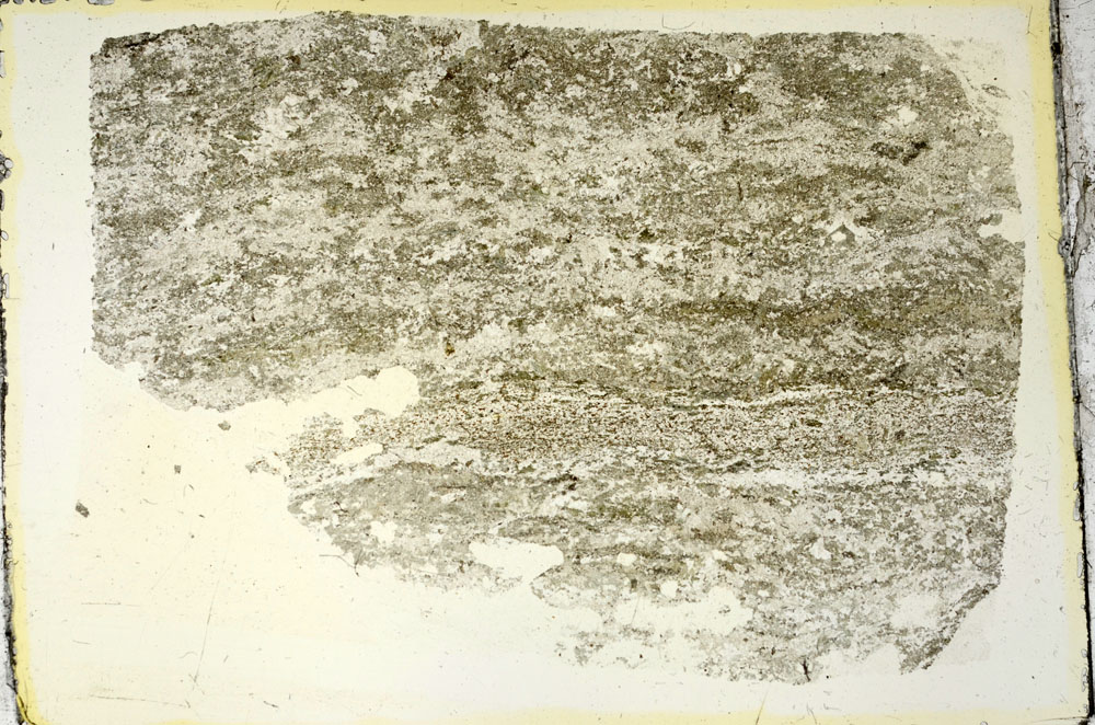 Plane Polarized, S87858