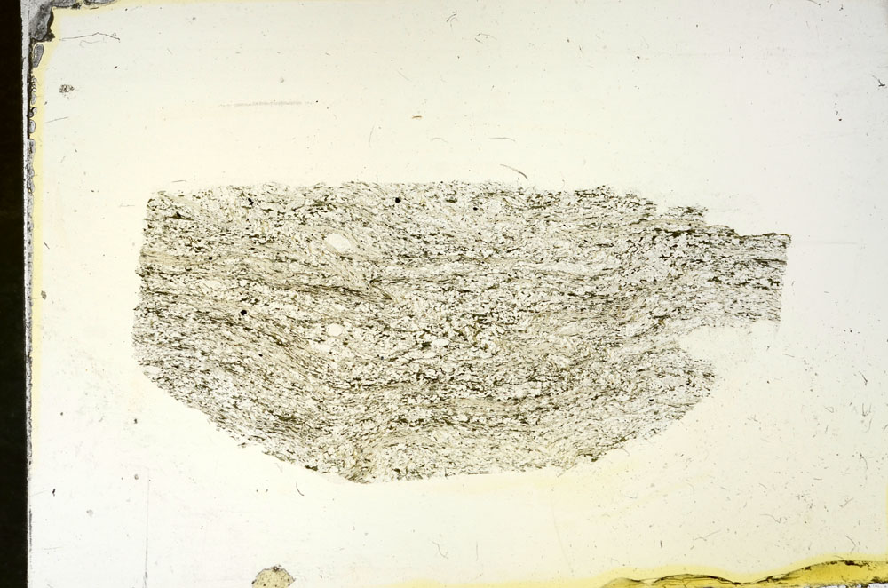 Plane Polarized, S87861
