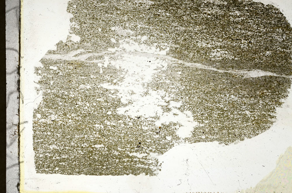 Plane Polarized, S87863