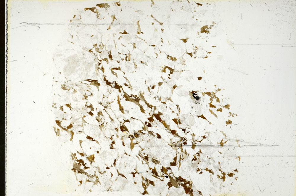 Plane Polarized, S87865
