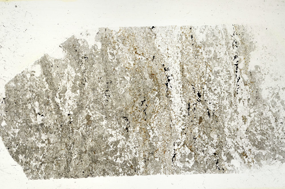 Plane Polarized, S87875