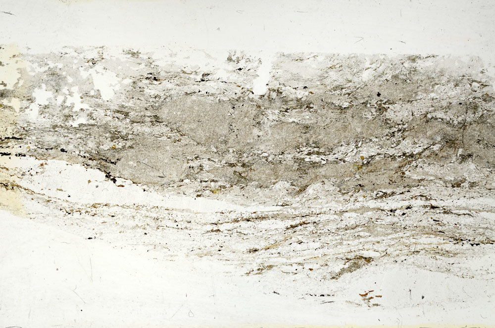 Plane Polarized, S87876