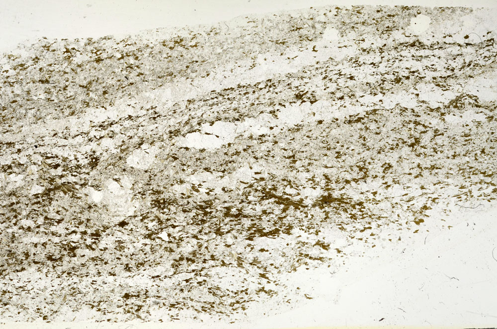 Plane Polarized, S87877