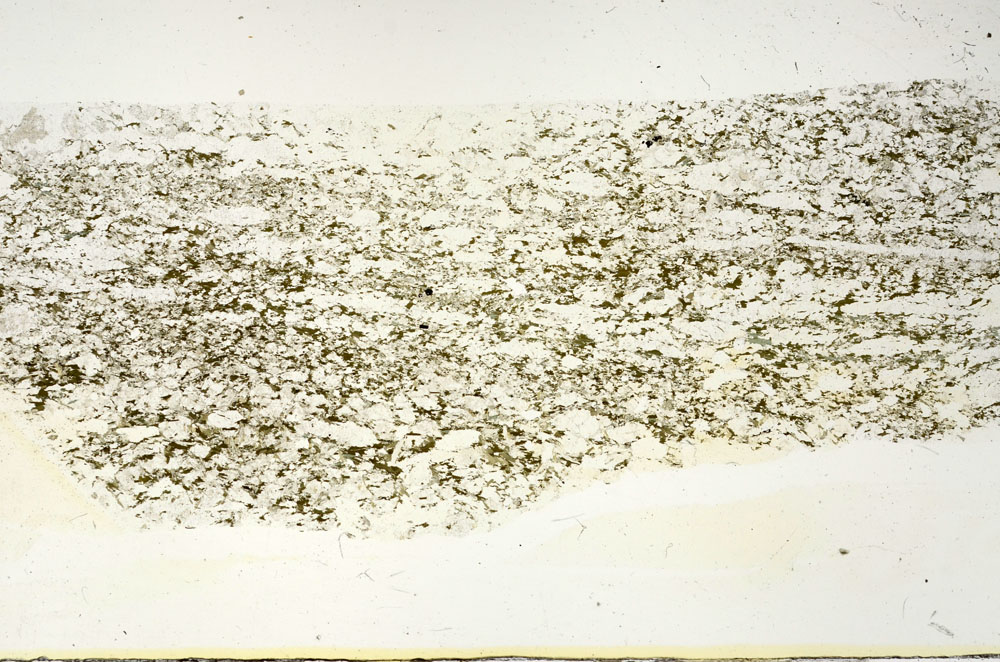 Plane Polarized, S87879