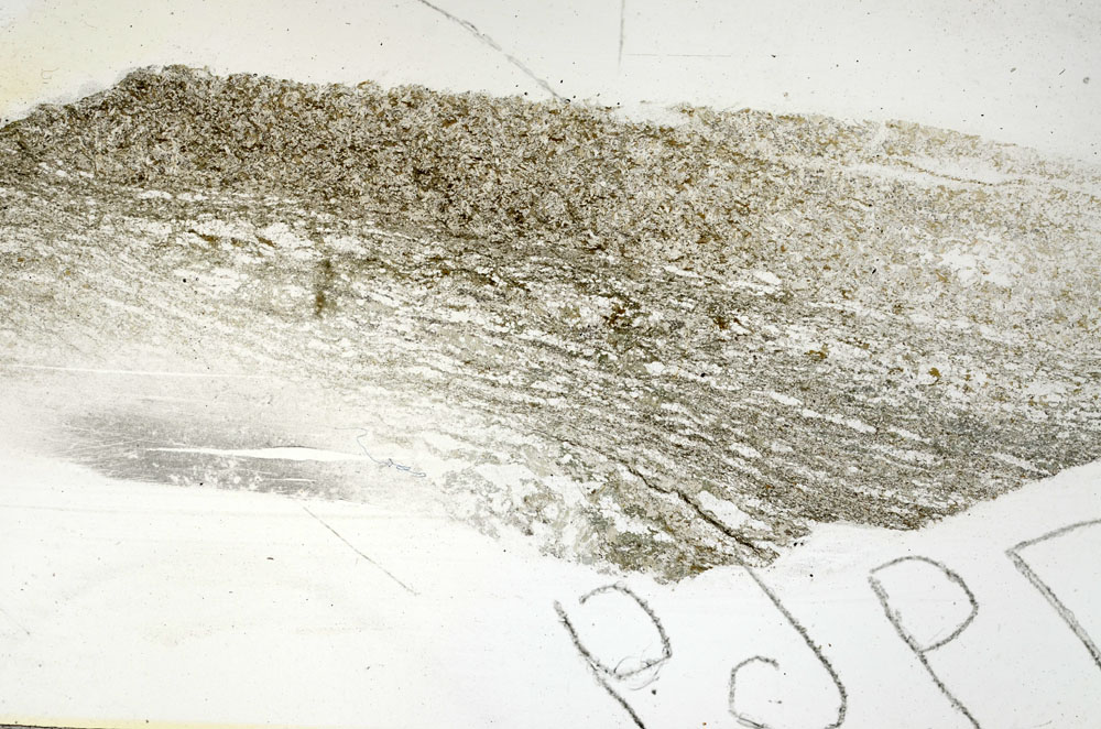 Plane Polarized, S87890