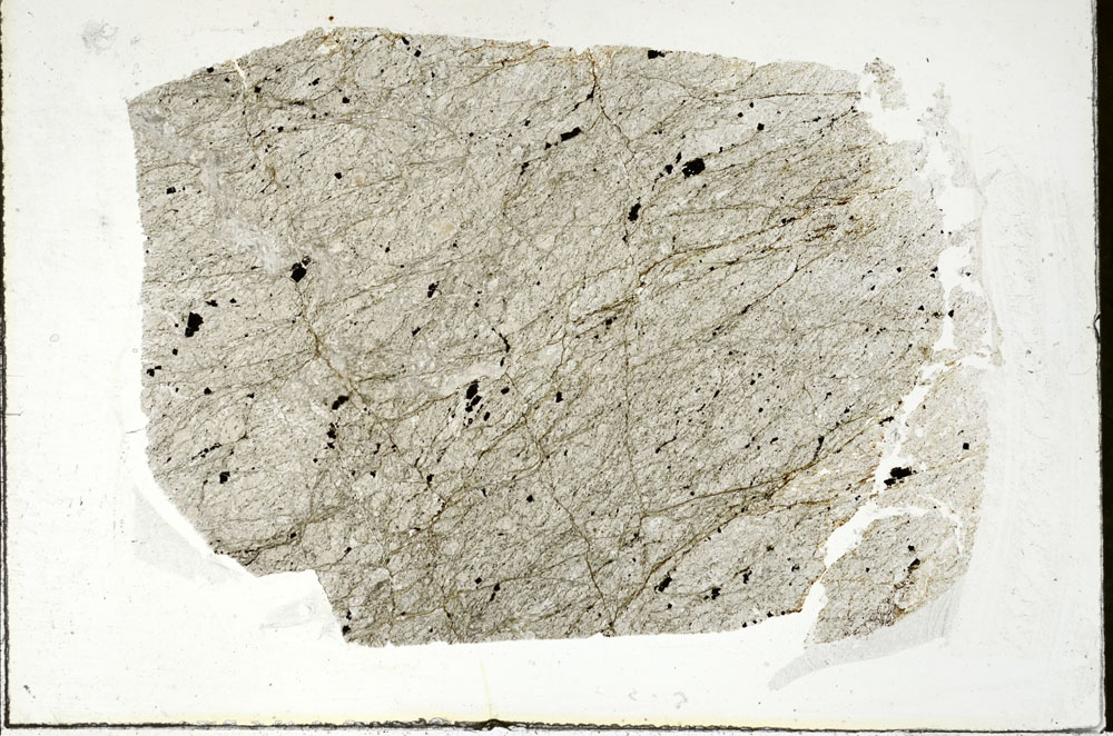 Plane Polarized, S87891