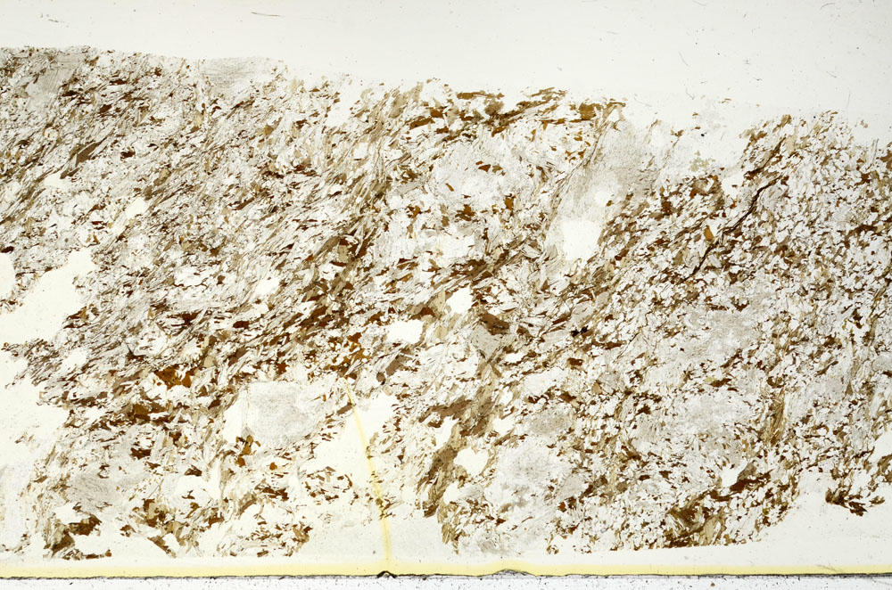Plane Polarized, S87894