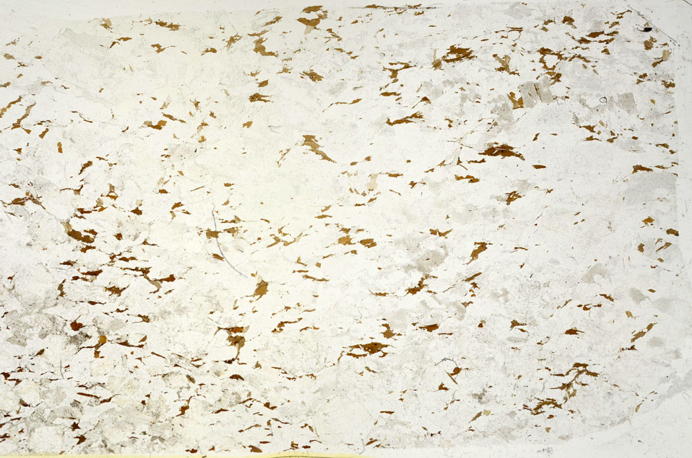 Plane Polarized, S87901