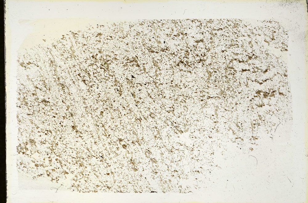 Plane Polarized, S87966