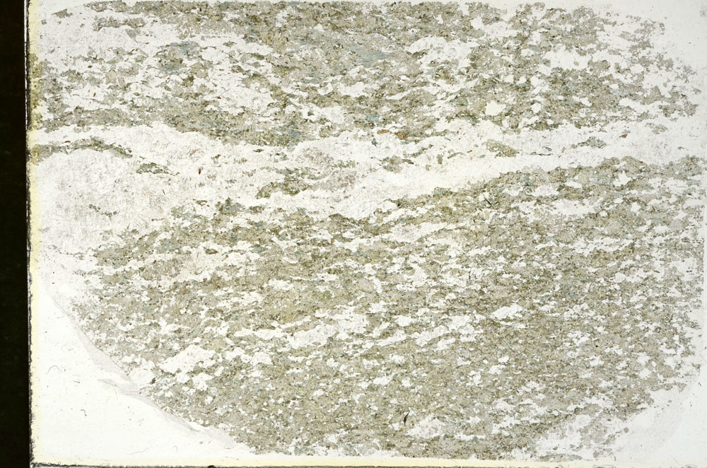 Plane Polarized, S87973