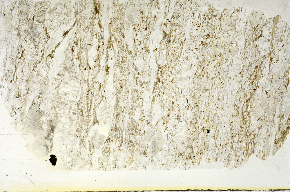 Plane Polarized, S87975
