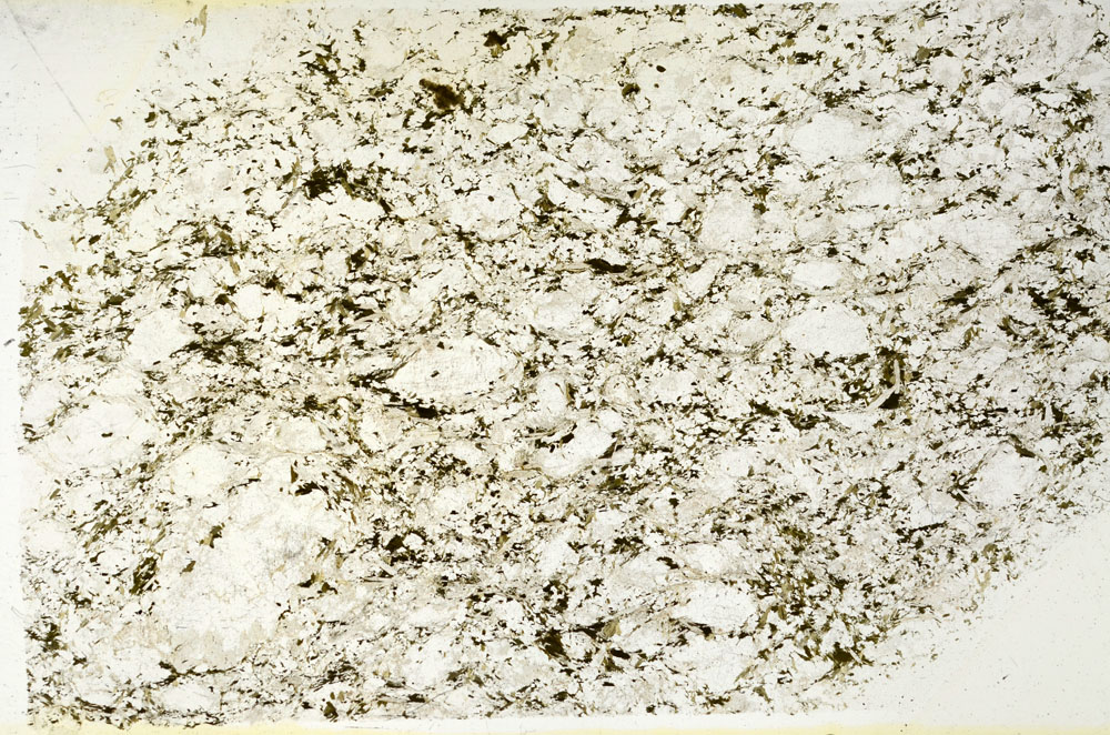 Plane Polarized, S87976