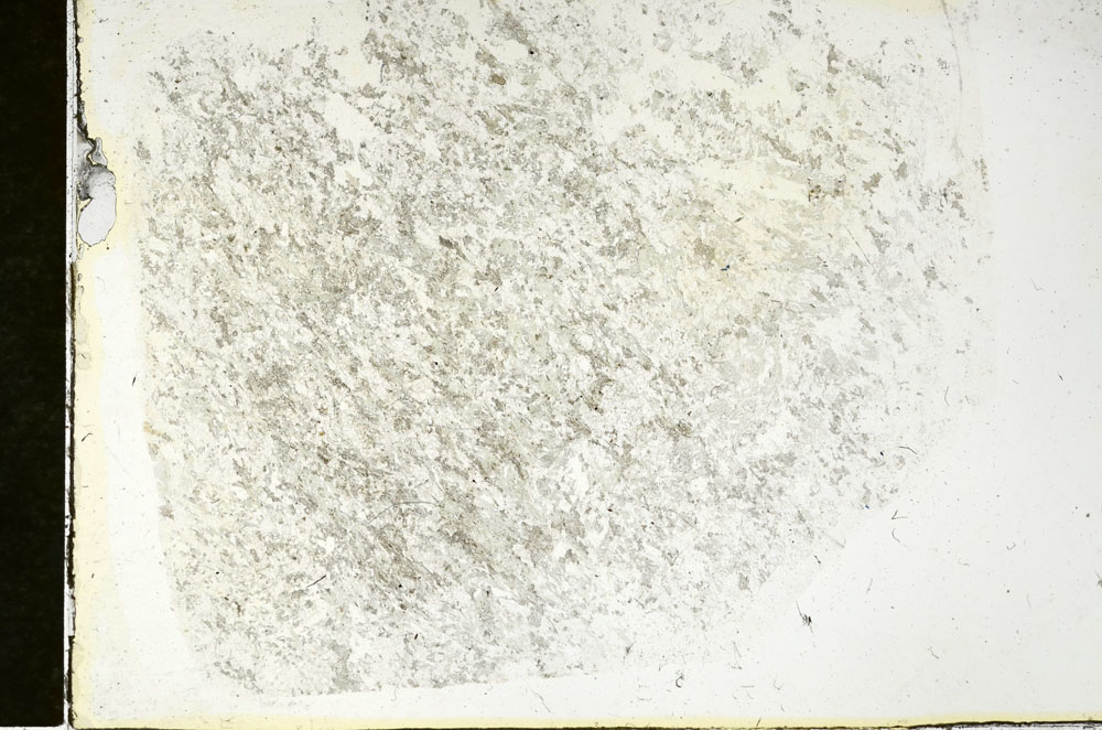 Plane Polarized, S87982