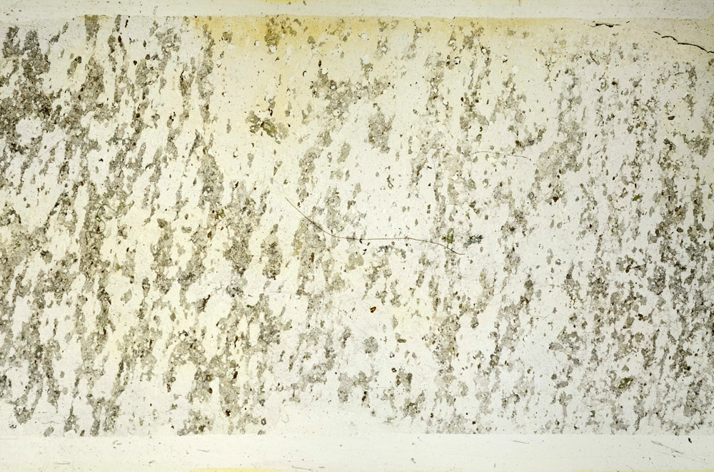 Plane Polarized, S87983