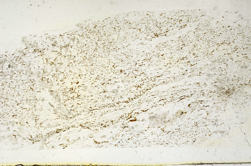 Plane Polarized, S87988