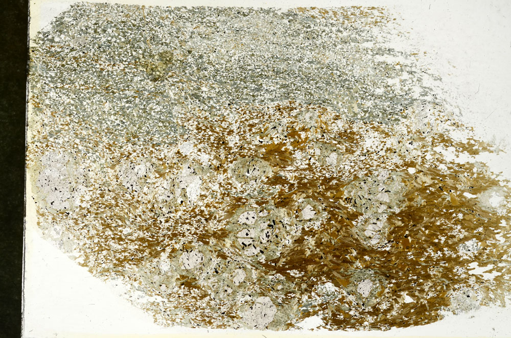 Plane Polarized, S87989
