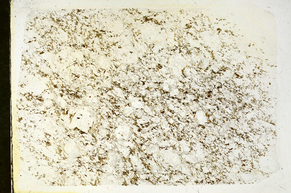 Plane Polarized, S87991