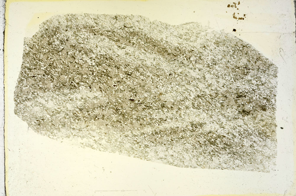 Plane Polarized, S87996