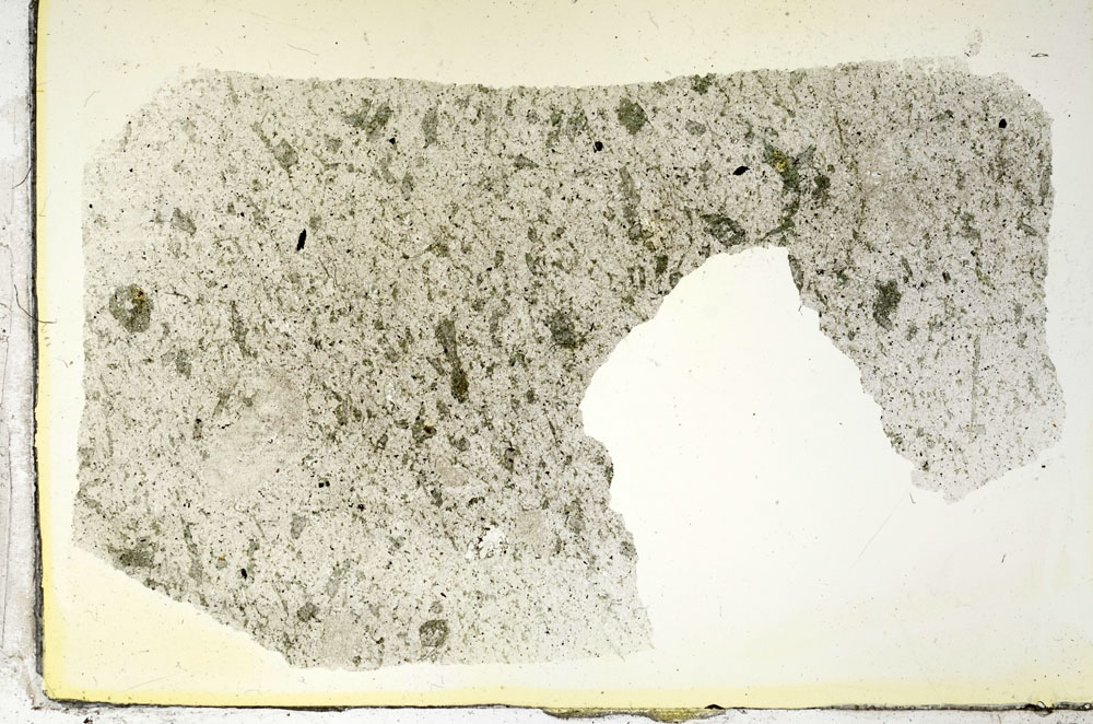 Plane Polarized, S87997