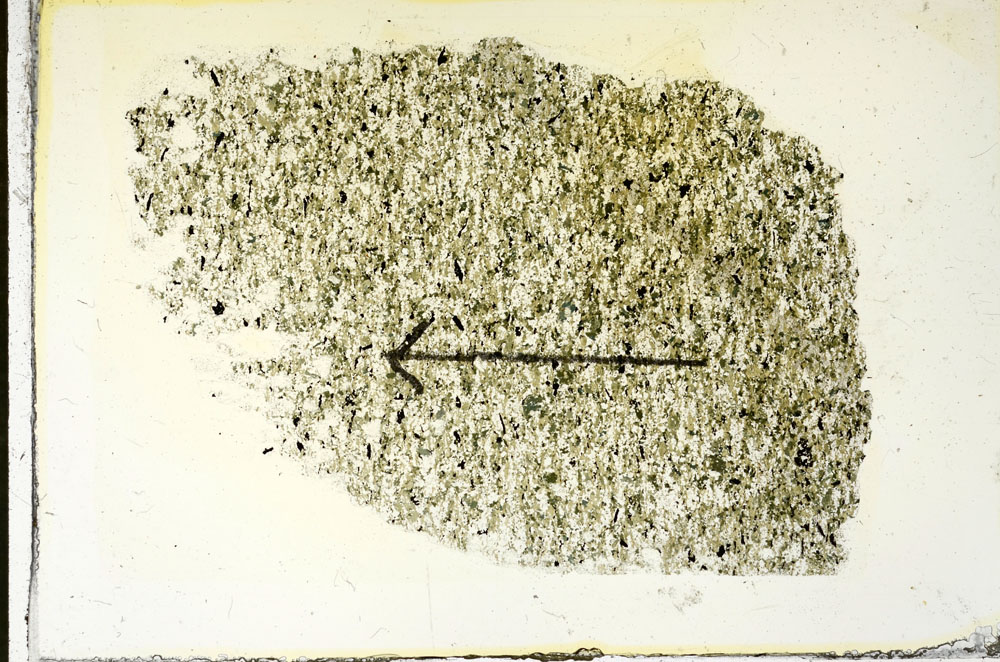 Plane Polarized, S87998