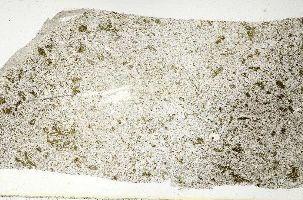 Plane Polarized, S88009