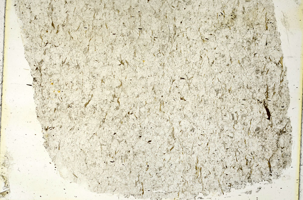 Plane Polarized, S88027
