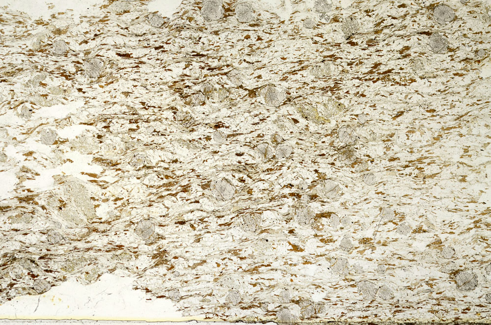 Plane Polarized, S88029