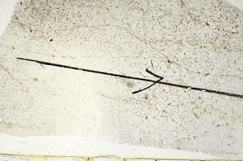 Plane Polarized, S88034