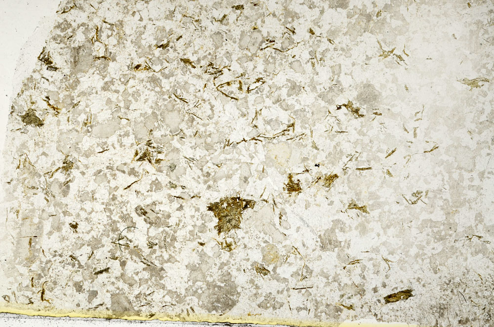 Plane Polarized, S88050