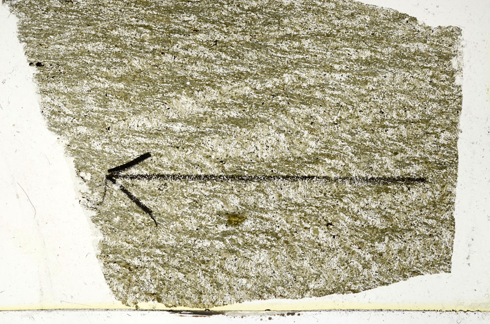Plane Polarized, S88055