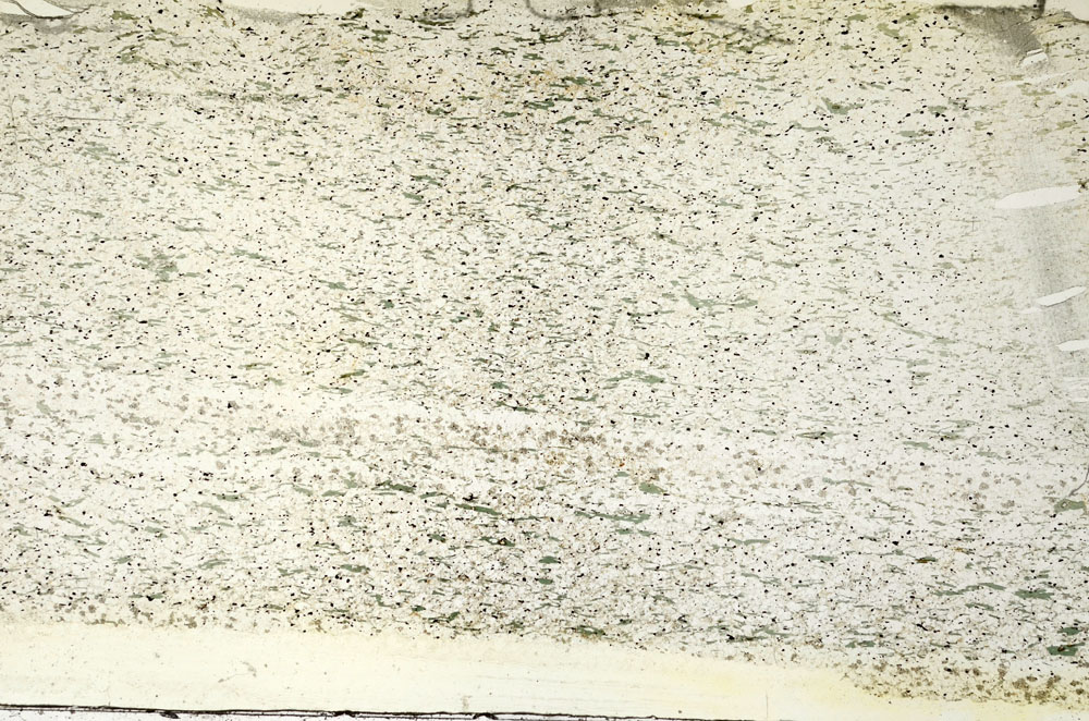 Plane Polarized, S88059