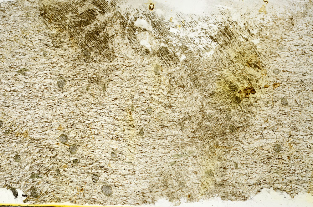 Plane Polarized, S88068
