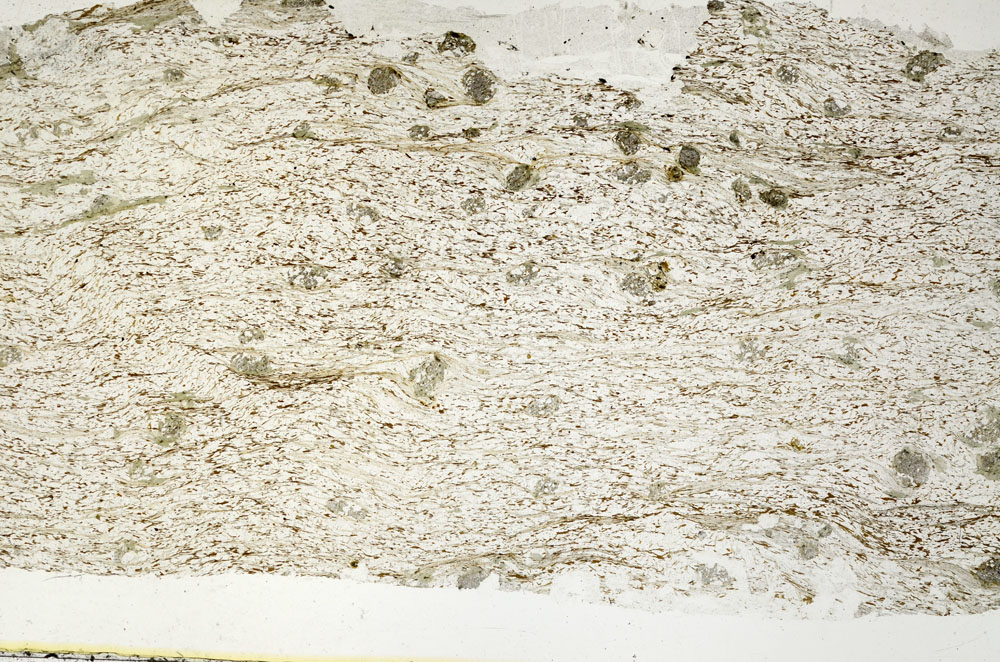 Plane Polarized, S88069
