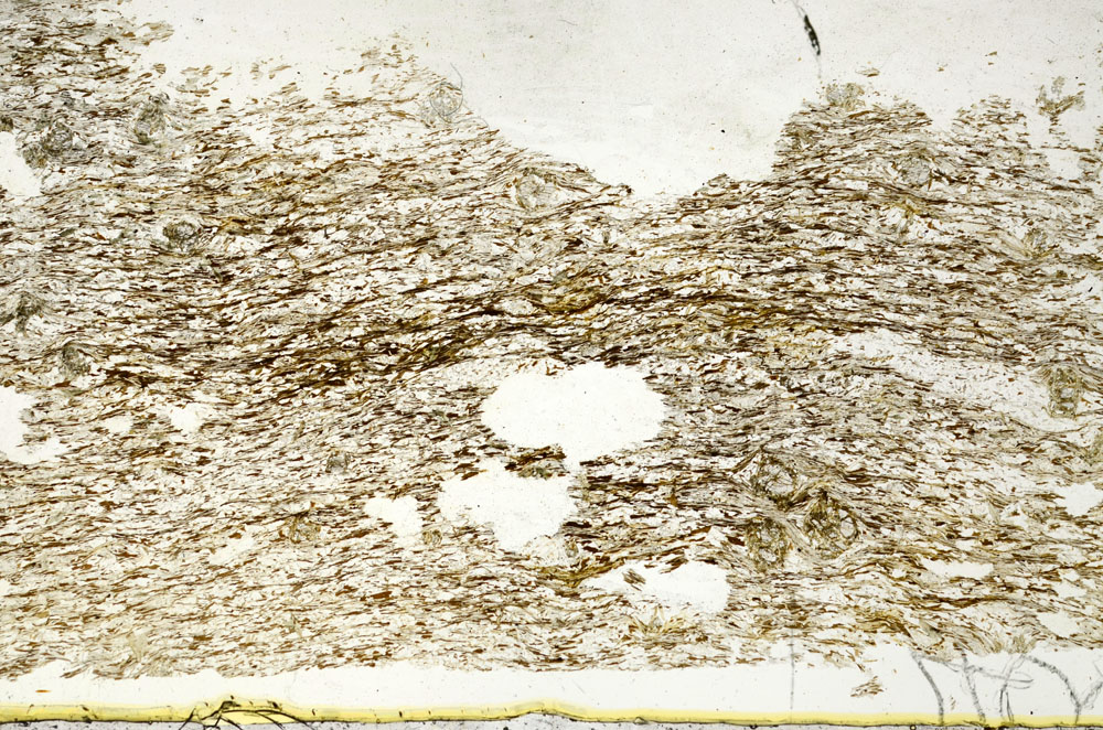 Plane Polarized, S88074