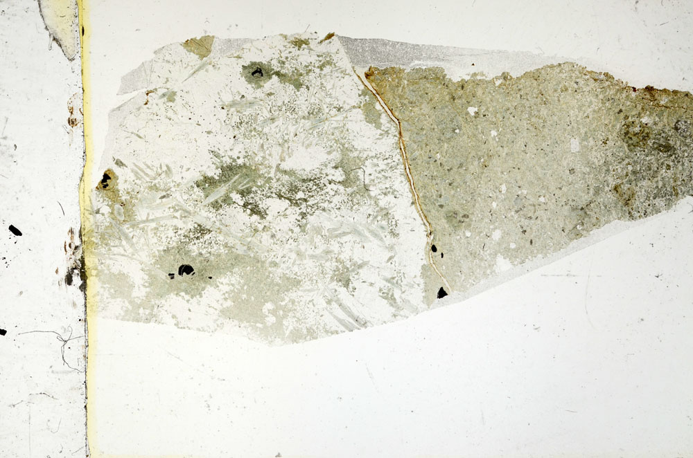 Plane Polarized, S88079