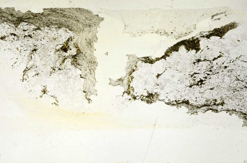 Plane Polarized, S88093