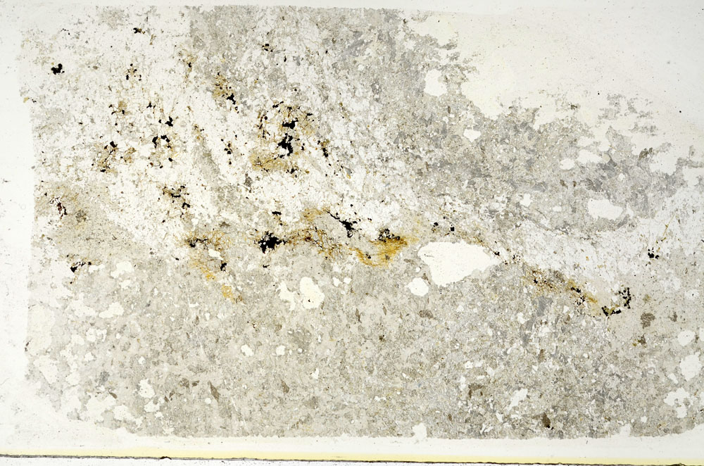 Plane Polarized, S88094