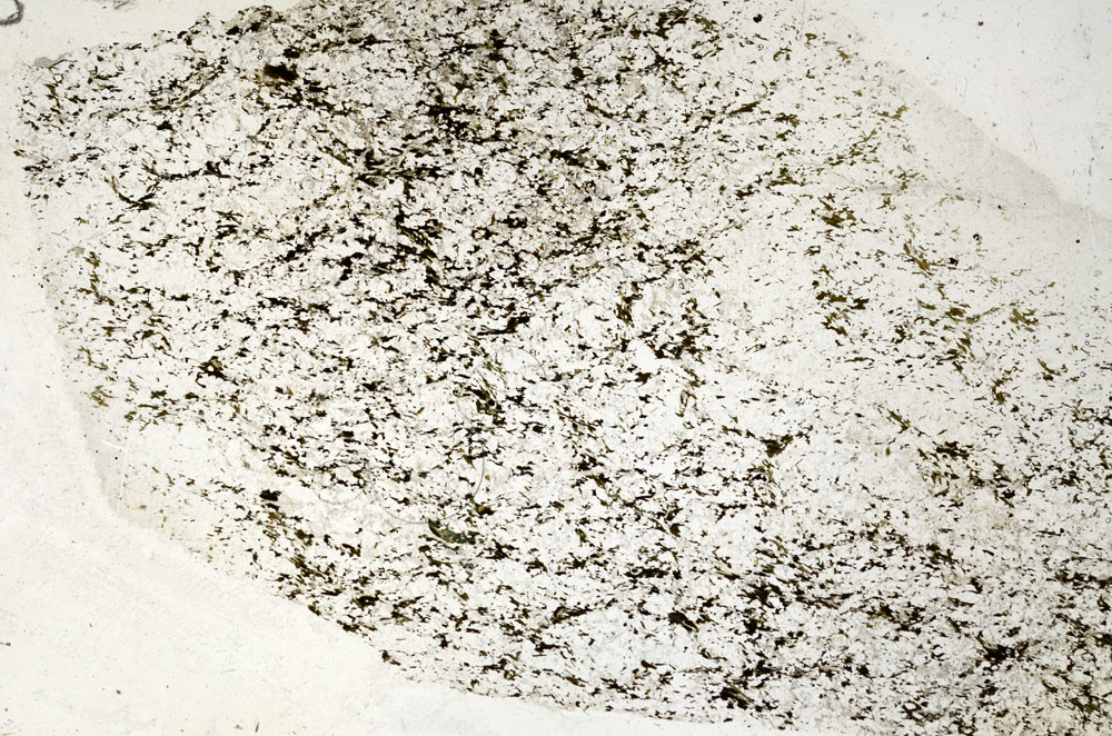Plane Polarized, S88097