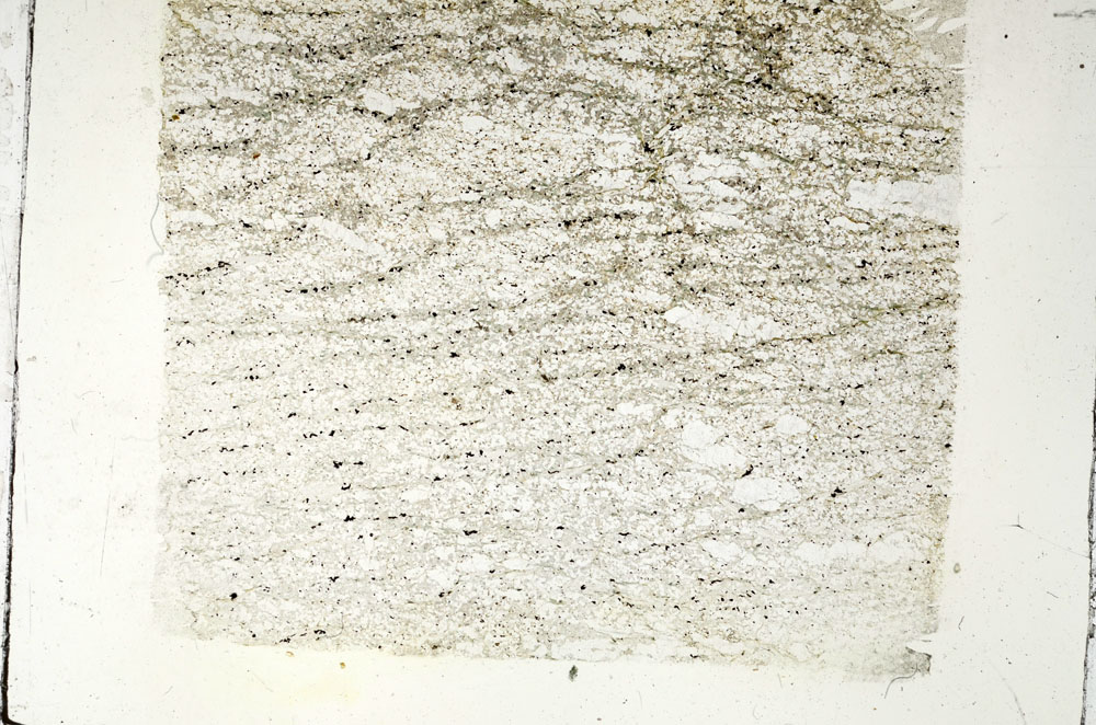 Plane Polarized, S88104