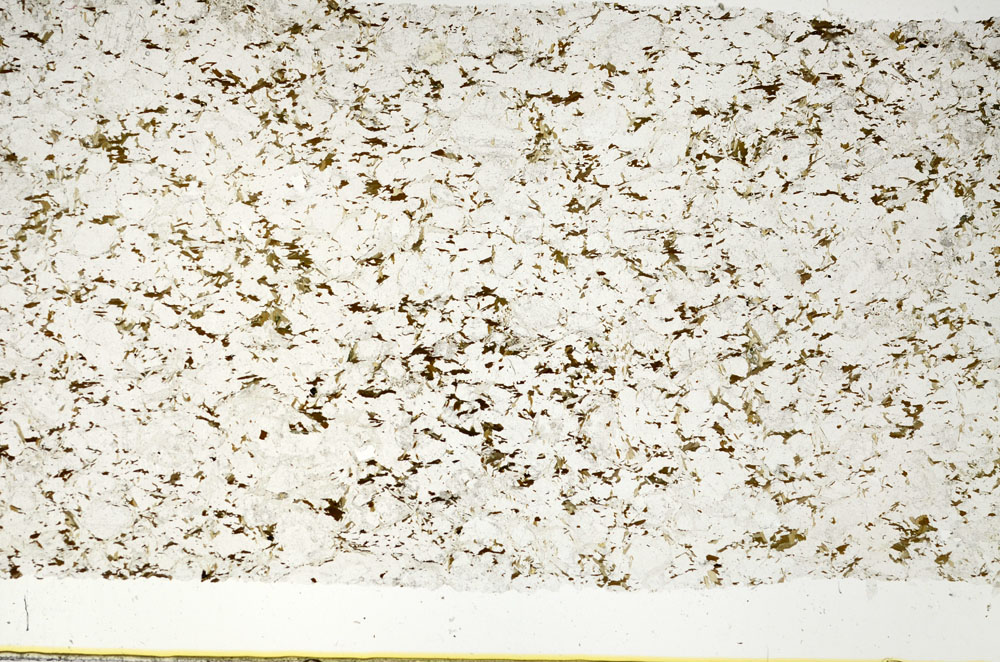 Plane Polarized, S88118