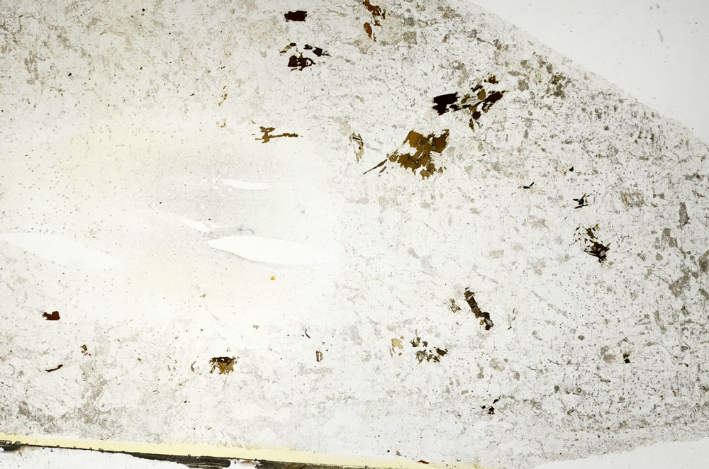 Plane Polarized, S88137
