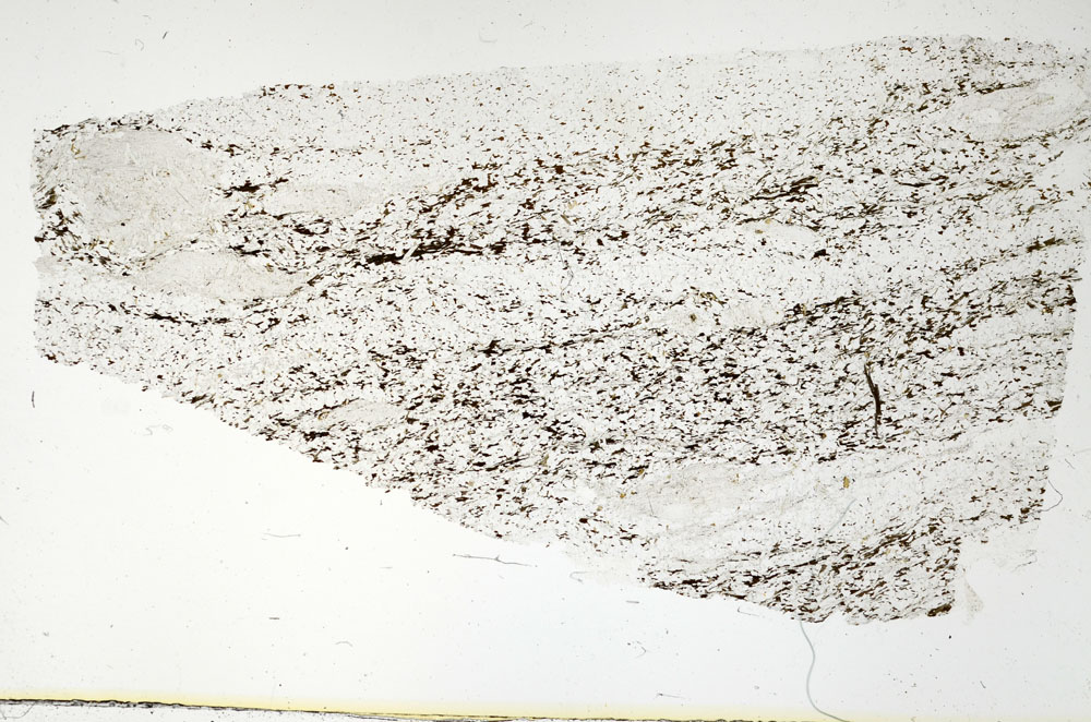 Plane Polarized, S88139