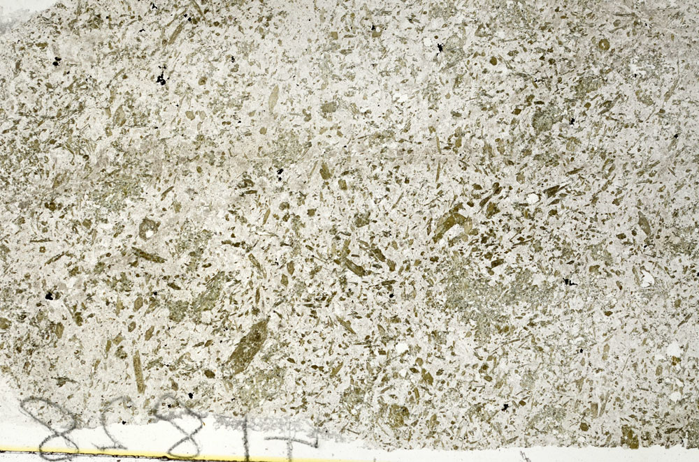 Plane Polarized, S88144
