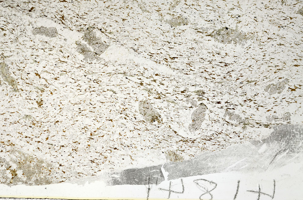 Plane Polarized, S88146