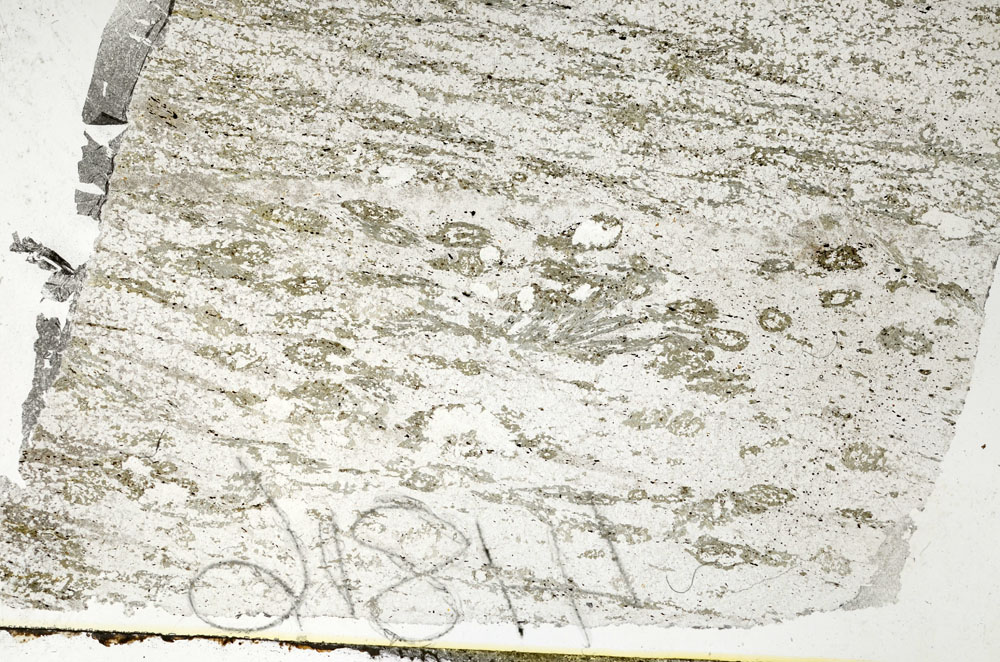 Plane Polarized, S88147