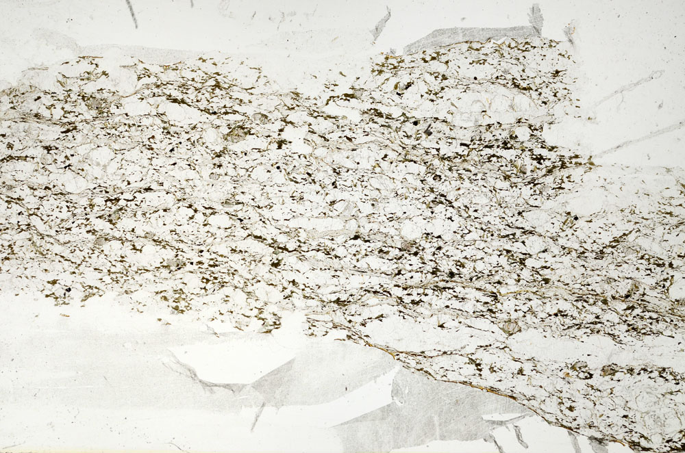 Plane Polarized, S88174