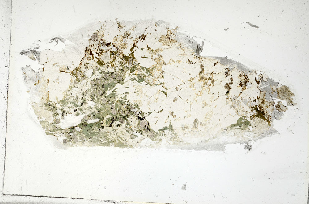 Plane Polarized, S88187