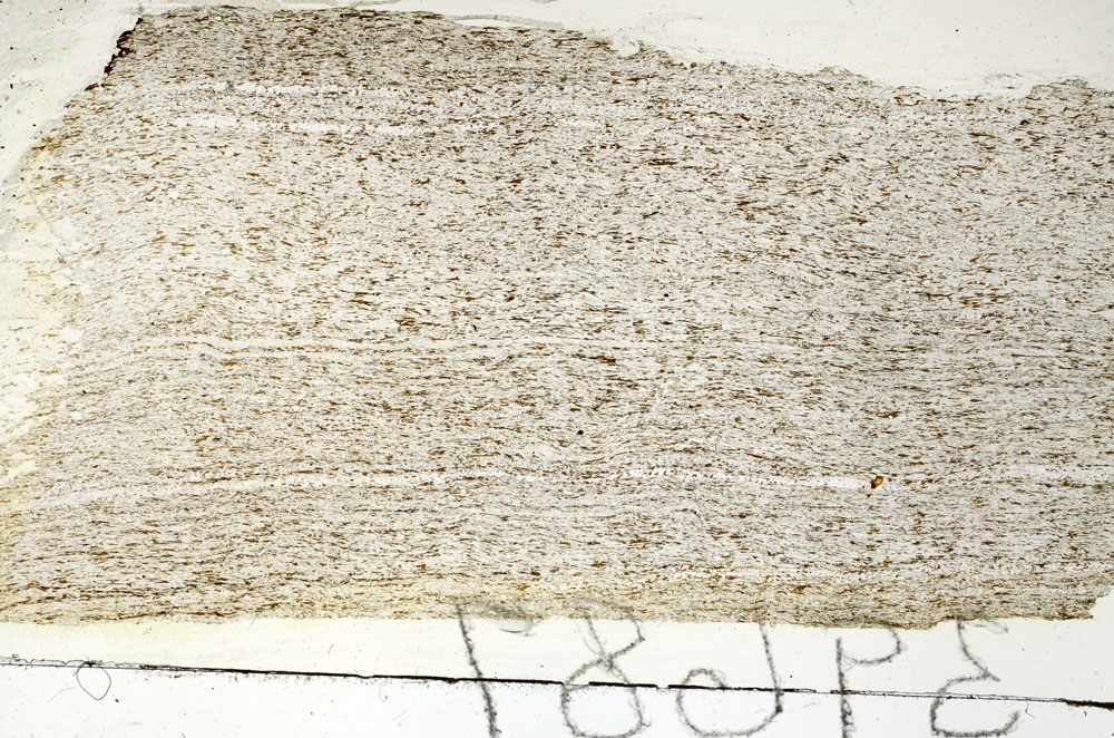 Plane Polarized, S88192