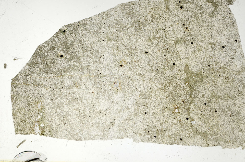 Plane Polarized, S88193