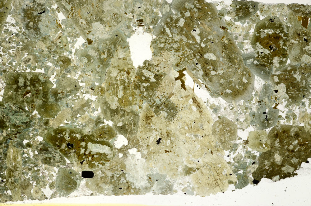 Plane Polarized, S88206